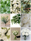 Load image into Gallery viewer, Luxury White &amp; Green Collection Kit