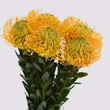 Load image into Gallery viewer, pincushion_yellow 