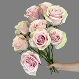 Load image into Gallery viewer, ROSE PINK MONDIAL LIGHT PINK 50CM - bloombybunches