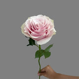 Load image into Gallery viewer, PINK MONDIAL LIGHT PINK ROSE - bloombybunches