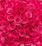 Load image into Gallery viewer, PINK ROSES - bloombybunches