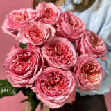 Load image into Gallery viewer, PINK-XPRESSION GARDEN ROSE - MEDIUM_PINK / 25 - Flowers