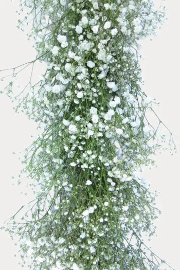 Pre-Assembled Fresh Baby’s Breath Garland - Christmas Greens