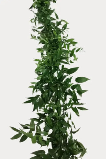 Pre-Assembled Ruscus Garland - Christmas Greens