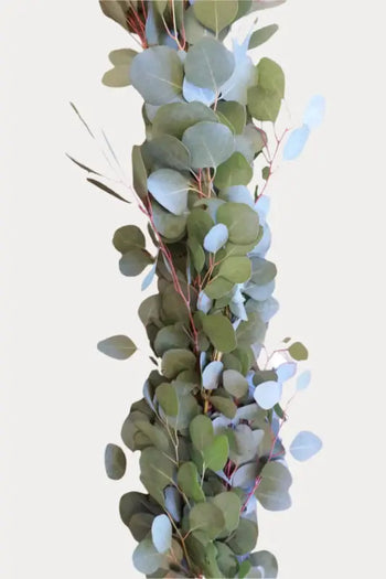 Pre-Assembled Silver Dollar Eucalyptus Garland - Christmas Greens