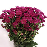 Load image into Gallery viewer, Chrysanthemum  Button Purple