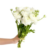 Load image into Gallery viewer, RANUNCULUS WHITE bouquet - bloombybunches