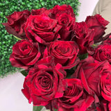 Load image into Gallery viewer, RED PANTHER ROSE - Red / 50CM / 25 - Fresh Cut Flowers