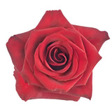 Load image into Gallery viewer, ROSE RED PARIS 50CM - bloombybunches