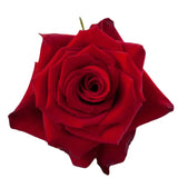 Load image into Gallery viewer, RED PARIS RED ROSE - bloombybunches
