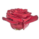 Load image into Gallery viewer, ROSE RED PARIS 50CM - bloombybunches