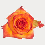Load image into Gallery viewer,  ROSE HIGH &amp; MAGIC (yellow) 50CM - bloombybunches