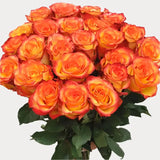 Load image into Gallery viewer, ROSE HIGH &amp; MAGIC ROSE - Fresh Cut Flowers