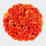 Load image into Gallery viewer, ROSE HIGH &amp; MAGIC ROSE - Fresh Cut Flowers