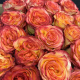 Load image into Gallery viewer, ROSE HIGH &amp; MAGIC ROSE - Fresh Cut Flowers