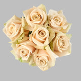 Load image into Gallery viewer, ROSE SAHARA CREAM 50CM - bloombybunches