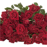 Load image into Gallery viewer, SPRAY ROSE RUBICON - bloombybunches