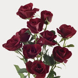 Load image into Gallery viewer, SPRAY ROSE RUBICON - bloombybunches