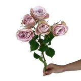 Load image into Gallery viewer, SPRAY ROSE COZUMEL - bloombybunches
