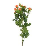 Load image into Gallery viewer, SPRAY ROSE ORANGE - Orange / 40 to 50CM / 10 - Fresh Cut Flowers