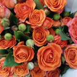 Load image into Gallery viewer, SPRAY ROSE ORANGE - Orange / 40 to 50CM / 10 - Fresh Cut Flowers