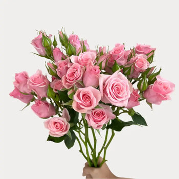 SPRAY ROSE ELBA - bloombybunches