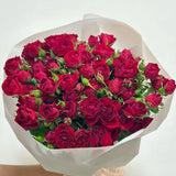 Load image into Gallery viewer, SPRAY ROSE RED - Red / 40 to 50 CM / 10 - Fresh Cut Flowers