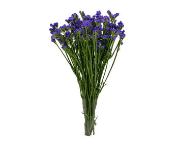 STATICE BLUE - bloombybunches