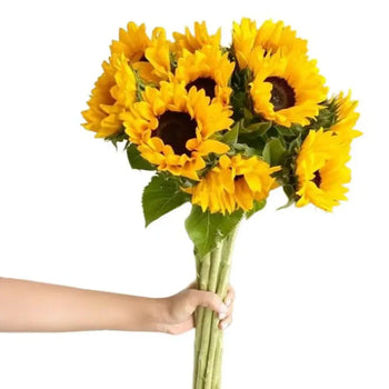 Bright yellow sunflower bouquet with dark centers held in hand, SUNFLOWER DARK EYE small stems, fresh and vibrant flowers for cheerful arrangements