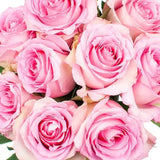 Load image into Gallery viewer, ROSE SWEET UNIQUE PINK 50CM - bloombybunches