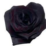 Load image into Gallery viewer, TINTED ROSE BLACK - bloombybunches