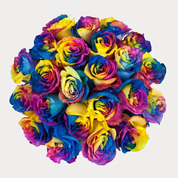 TINTED ROSE RAINBOW - Diy Wedding & Events - bloombybunches