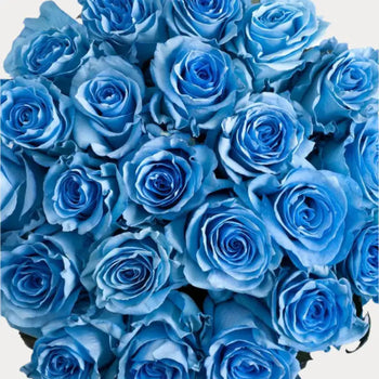 TINTED ROSE WHISPER BLUE - Diy Wedding & Events - bloombybunches