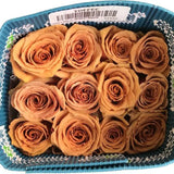 Load image into Gallery viewer, ROSE TOFFEE 50CM - bloombybunches