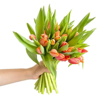 Hand holding a vibrant bouquet of bulk orange tulips with fresh green leaves for DIY wedding and event floral arrangements