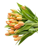Load image into Gallery viewer, TULIP ORANGE - bloombybunches