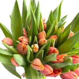 Load image into Gallery viewer, Close Up of TULIP ORANGE - bloombybunches