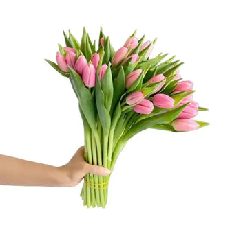 Hand holding a bouquet of fresh pink tulips for DIY wedding and event flowers