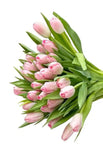 Load image into Gallery viewer, Close UP of TULIP PINK - bloombybunches
