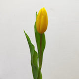 Load image into Gallery viewer, TULIP YELLOW