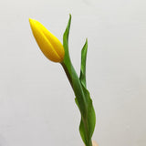 Load image into Gallery viewer, TULIP YELLOW