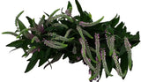Load image into Gallery viewer, VERONICA PINK - bloombybunches
