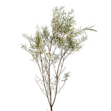 Load image into Gallery viewer, Wax Flower - White