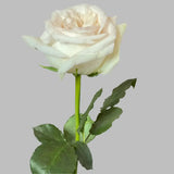 Load image into Gallery viewer, WHITE O’HARA GARDEN ROSE - White / 25 - Fresh Cut Flowers