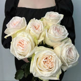 Load image into Gallery viewer, WHITE O’HARA GARDEN ROSE - White / 25 - Fresh Cut Flowers