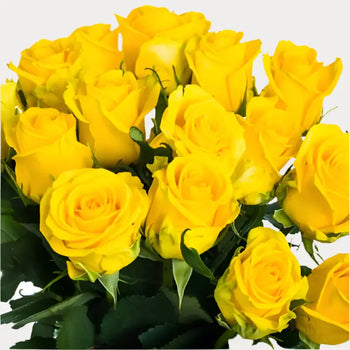 YELLOW ROSES - bloombybunches