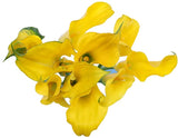 Load image into Gallery viewer, CALLA LILLY MINI YELLOW Bouquet - bloombybunches.ca