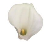Load image into Gallery viewer, Single CALLA LILY LARGE WHITE - OPEN CUT - bloombybunches.ca