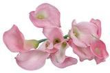 Load image into Gallery viewer, CALLA LILY MINI Light Pink Bouquet - bloombybunches.ca