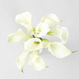 Load image into Gallery viewer, CALLA LILY MINI WHITE - bloombybunches.ca